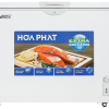 Tủ đông Hòa Phát 252 lít HPF AN6252