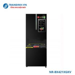 Tủ lạnh Panasonic NR-BX421XGKV | 380L 2 cánh inverter
