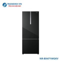 Tủ lạnh Panasonic NR-BX471WGKV | 420L 2 cánh inverter
