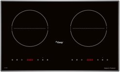 Bếp từ Canzy CZ 65B