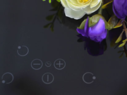 bep tu cata ib 753bk 3