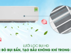 8. ESM12CRO | Dàn điều hòa Electrolux giúp loại bỏ bụi bẩn đem đến bầu không khí trong lành với bộ lọc bụi HD