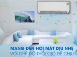 2. Máy lạnh Electrolux ESV09CRO-D1 mang đến cho bạn luồng khí mát mẻ dịu nhẹ