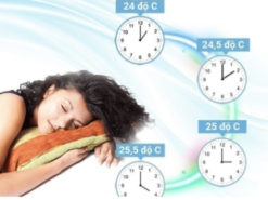 3. Máy lạnh Erito ETI-N10CS1 với hiết kế cánh đảo vây 4 chiều cho hơi lạnh lan tỏa khắp mọi ngóc ngách 