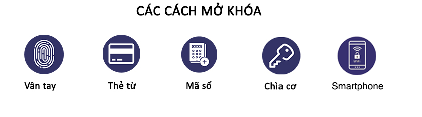 KHÓA CỬA THÔNG MINH EPIC ES-P9100FK