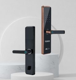 Khoá cửa vân tay 5asystem 5A TS3000 PRO