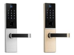 Khóa vân tay Dessmann A800 ( có 2 màu vàng và bạc )