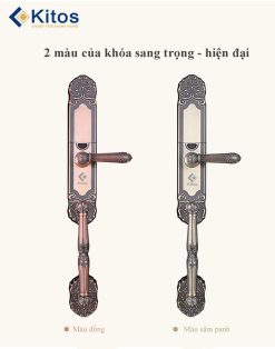 Khóa vân tay tân cổ điển Kitos C500