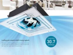 luong gio manh nhat 1