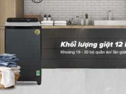 Máy giặt Aqua Inverter 12 kg AQW-DR120HT BK - Khối lượng giặt