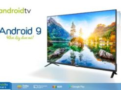 tivi rindo r 42bf6900 ar11 10