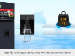 Tủ lạnh Toshiba Inverter 249 lít GR-RT325WE-PMV(06)-MG - Tiện ích lấy nước ngoài