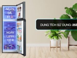 Tủ lạnh Toshiba Inverter 253 lít GR-RT329WE-PMV(52) - Dung tích