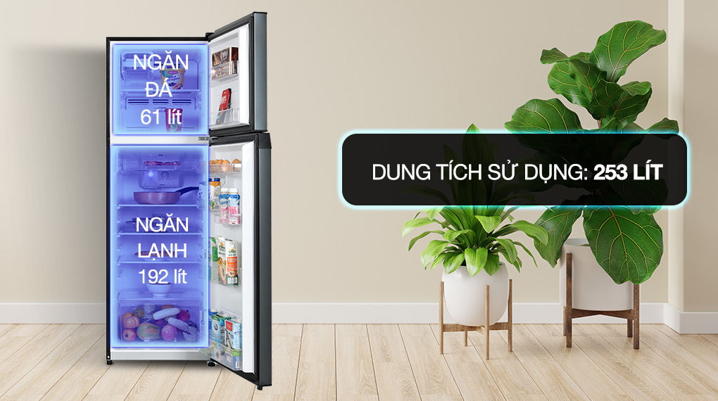 Dung tích sử dụng ngăn đá 61 lít, ngăn lạnh 192 lít