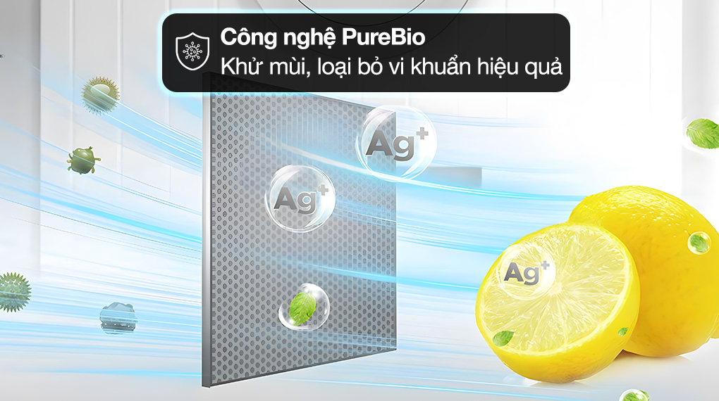 Công nghệ khử mùi