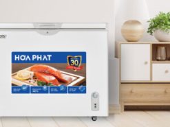 Tủ đông Hòa Phát 252 lít HPF AN6252