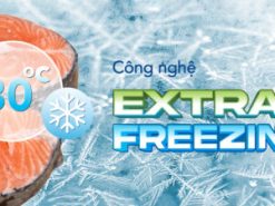 Tủ đông Hòa Phát 252 lít HPF AN6252