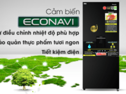4. Tủ lạnh Panasonic BX421GPKV tiết kiệm điện năng với công nghệ Inverter và cảm biến Econavi
