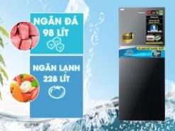 1. Tủ lạnh Panasonic NR-TL351VGMV phù hợp cho gia đình từ 3 – 4 thành viên