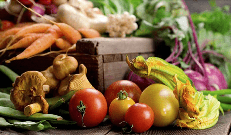 Tủ mát Alaska SL12C  Sử dụng quạt lồng sóc hiện đại