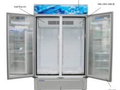 Phác hoạ tổng quát hình ảnh tủ mát Alaska 1200 lít SL12C 