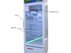 Hình ảnh tổng quát tủ mát Sanaky 290 lít VH358K