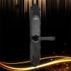 Khóa cửa vân tay cổ điển Gigasun X3B