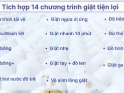 Máy giặt LG Inverter 10 kg FV1410S4W1 - Chương trình giặt