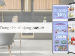 Tủ lạnh Samsung Inverter 345 lít RT35CG5544B1SV - Ngăn đá và ngăn lạnh