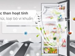 Tủ lạnh Samsung Inverter 345 lít RT35CG5544B1SV - Công nghệ kháng khuẩn, khử mùi