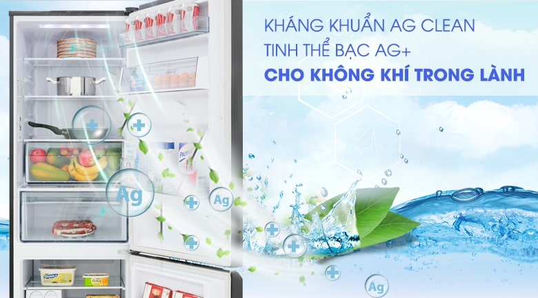 Tủ lạnh Panasonic inverter 322 lít NR-BC360QKVN 8 Tủ lạnh Panasonic NR-BC360QKVN khử mùi, kháng khuẩn tối ưu với tinh thể bạc Ag+