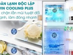 Làm lạnh nhanh chóng mọi ngăn bên trong bằng công nghệ 2 dàn lạnh độc lập Twin Cooling plus