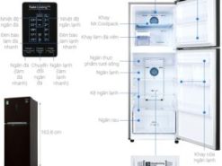 Tủ lạnh Samsung Inverter 299 lít RT29K5532BY/SV