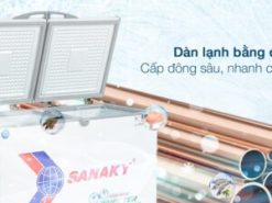Tủ đông Sanaky Inverter 220 lít VH-2899W3