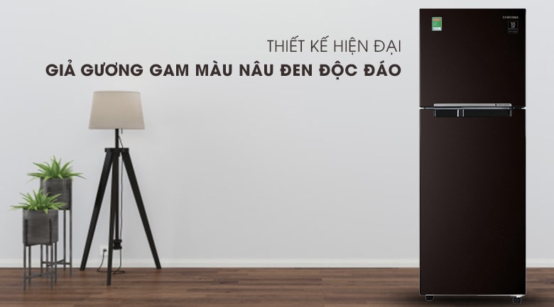 Tủ lạnh Samsung RT22M4032BY/SV: Thiết kế thông minh và tiện ích đa dạng