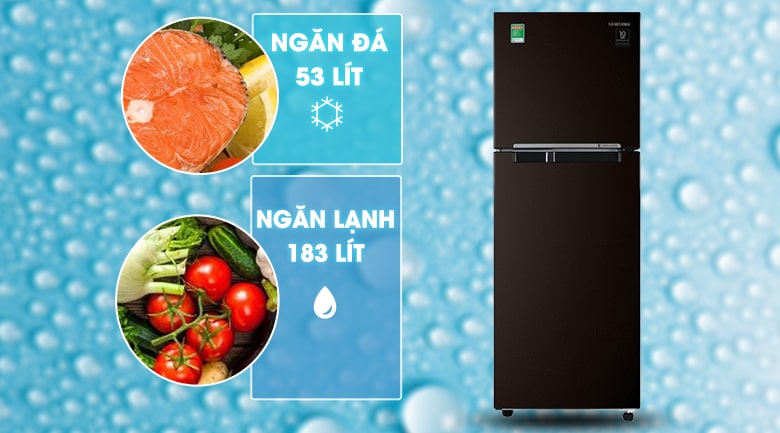 Tủ lạnh Samsung Inverter 236 lít RT22M4032BY/SV Kiểu dáng sang trọng và hiện đại