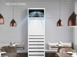 Điều Hòa Tủ Đứng LG Inverter 3 HP APNQ30GR5A4