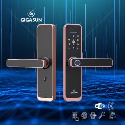 Khoá cửa vân tay Gigasun D04R