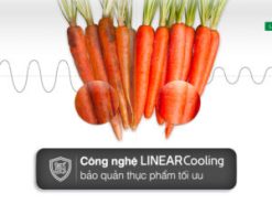 Tủ lạnh LG Inverter 519 lít GR-B256BL