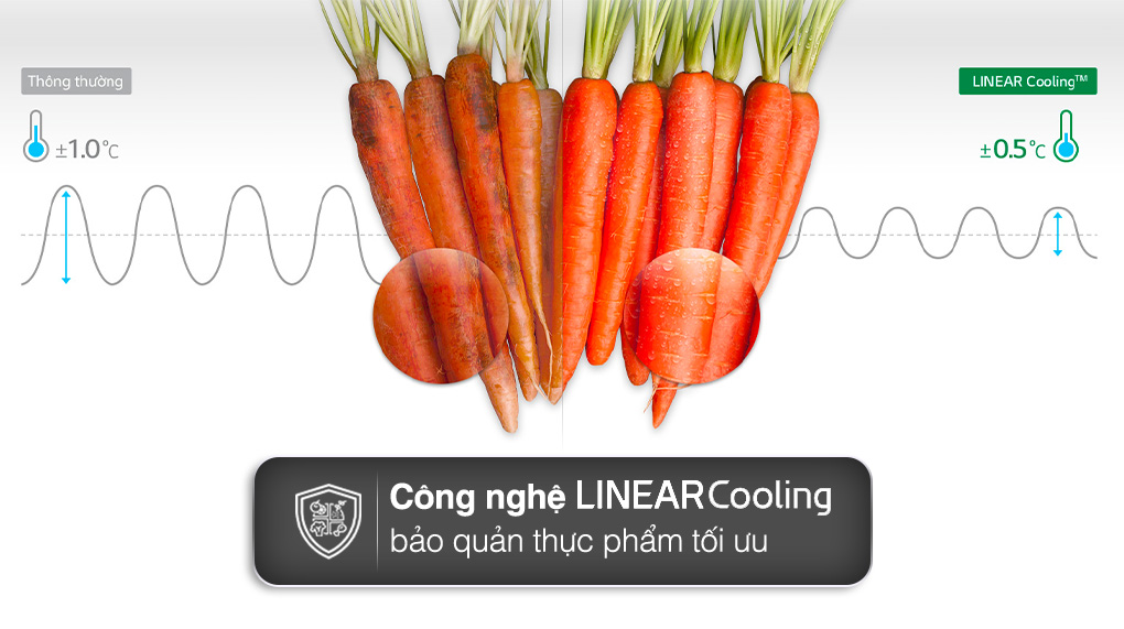 Công nghệ bảo quản thực phẩm tối ưu
