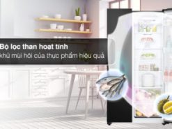 Tủ lạnh LG Inverter 519 lít GR-B256BL