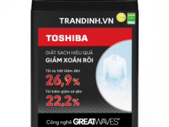 may giat toshiba dm1100jv