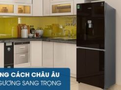 Tủ lạnh Samsung RB30N4170BY/SV phủ lớp sơn bóng giả gương tinh tế