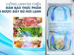 Tủ lạnh Samsung RT22M4032BY/SV có công nghệ làm lạnh vòm lan tỏa đến mọi nơi