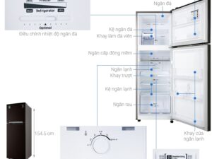 Tủ lạnh Samsung Inverter 236 lít RT22M4032BY/SV