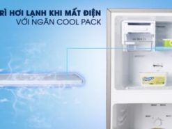Tủ lạnh Samsung RT20HAR8DBU/SV có ngăn đông Cool pack giữ nhiệt ngay cả khi mất điện lên đến 12h
