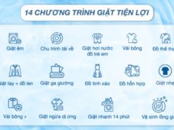 Chương trình giặt Máy giặt LG AI DD Inverter 9 kg FV1409S4M