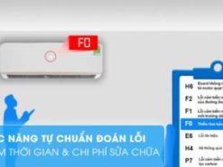 3. Electrolux Electrolux ESV12CRO-D1 sở hữu chức năng chuẩn đoán lỗi thông minh