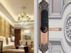 3. Khoá điện tử Gigasun X3R trang bị 5 chức năng mở khoá tiện dụng