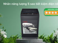Máy giặt Toshiba 10 kg AW-M1100PV(MK) - Động cơ - Công nghệ tiết kiệm điện
